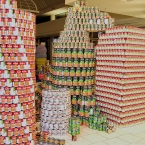 CANzilla