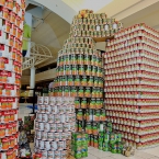 CANzilla