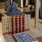 Edmonton City CAN-cil