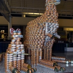 The CANgaroo