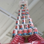 Viva la CANs: I'm full tower