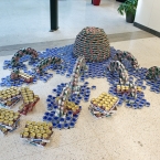 onpa_octopus_01.jpg